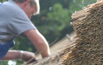 professional Cilybebyll thatchers